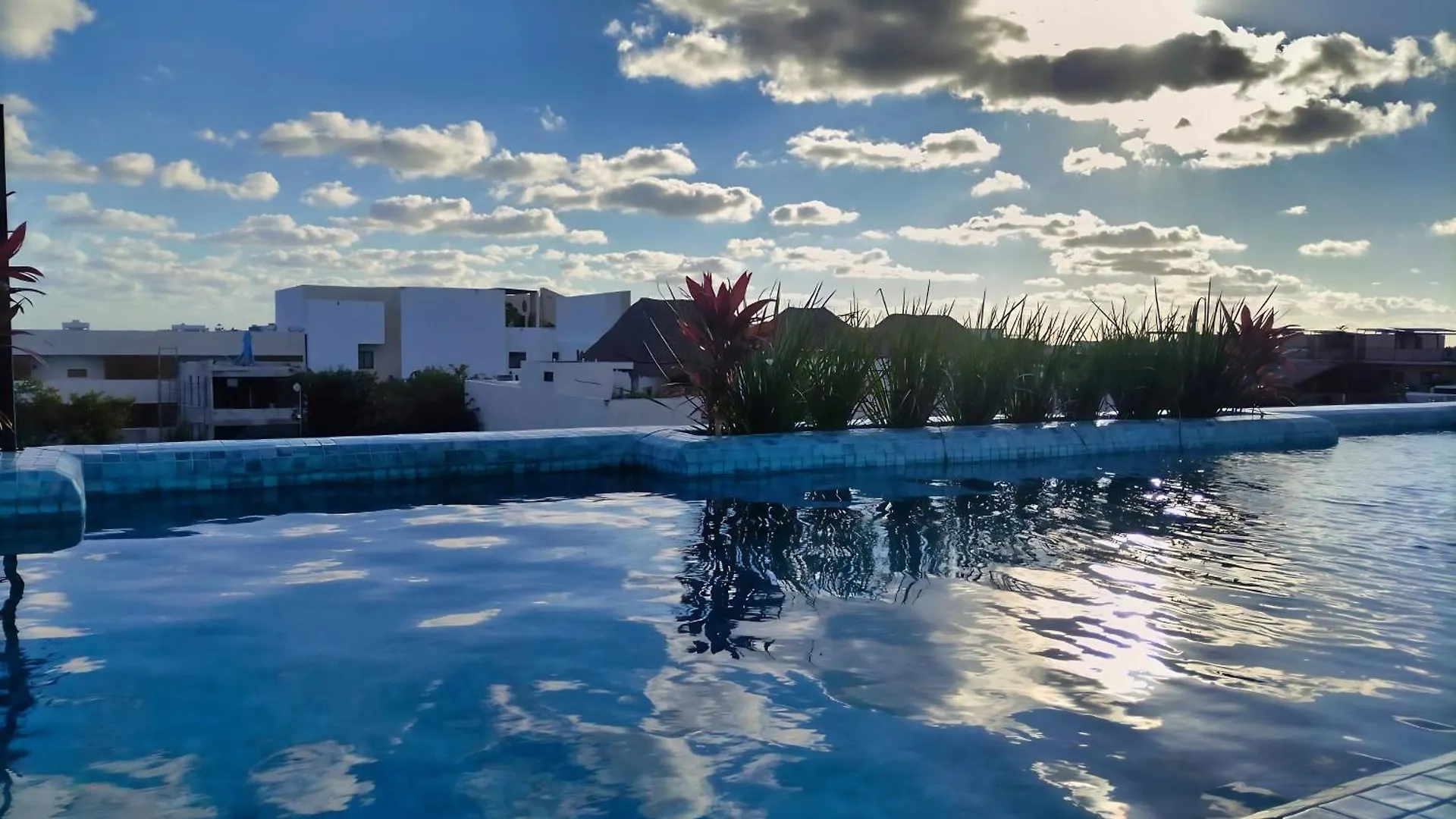 Solum Living Apartment Tulum